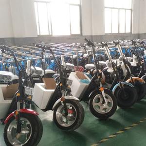 بالجملة لنا/EEC متوافقة مع EEC 60V 12A بطارية ليثيوم للبالغين سكوتر التنقل EEC Citycoco - Product Image 3