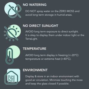 Kit de terrariums en mousse préservée air Plantes <span class=keywords><strong>Terrarium</strong></span> Géométrique Plante d'intérieur <span class=keywords><strong>Terrarium</strong></span> en verre Mousse naturelle - Product Image 5