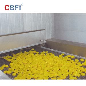 Vente industrielle automatique de congélateur de lit fluidisé de machine de souffle de congélation rapide de fabricant de CBFI - Product Image 6