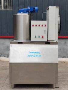 Máquina de Hielo en Escamas Industrial Coldsmart, 1000 kg/día, de Alta Calidad, para Pescado, Ahorro de Energía, Uso Comercial, para Mariscos - Product Image 2