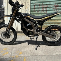Motor Listrik HP 2025 Laris Manis, Motor Tengah, Baterai Lithium, Torsi Tinggi, E-Bike Off-road untuk Klub Balap