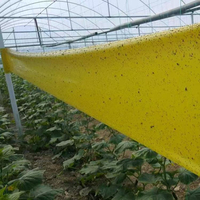 Rouleau de piège à colle double face pour mouches des fruits, 10 cm x 100 m, piège à insectes collant à forte adhérence pour la lutte antiparasitaire des vergers et serres