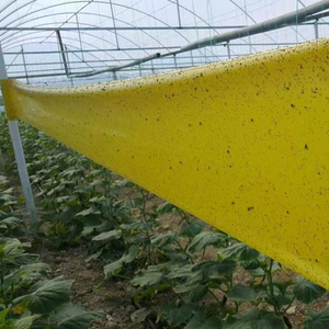 Rollo de Trampa Adhesiva para Moscas de la Fruta de Doble Cara de 10 cm x 100 m, Trampa Adhesiva Fuerte para Insectos para el Control de Plagas en Huertos e Invernaderos - Product Image 4