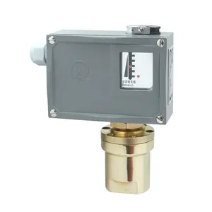 Mechanical Diff pressure controller adjustable 1.6Mpa 520/7DD Differential Pressure Switches for oil natural gas