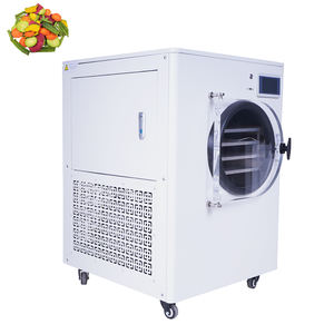 جهاز تجفيف بالتجميد مستعمل للبيع في تايلاند، آلة تجفيف الطعام، مجفف تفريغي - Product Image 4