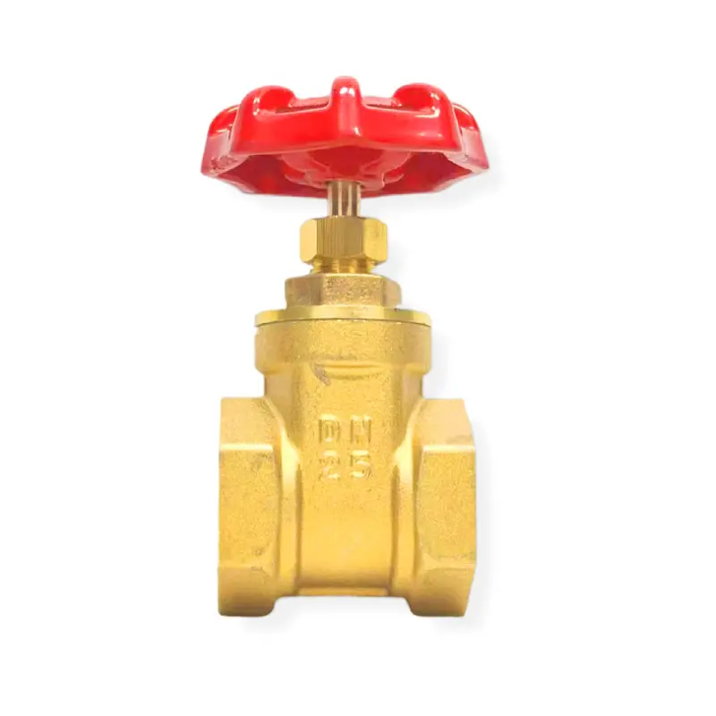 Thickening Thread Type Brass Gate Valve Brand New Customized Manual Water Gate Valve