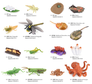 2021 Lớp Khoa Học Công Cụ Giáo Dục Thế Giới Tự Nhiên Động Vật Cá Côn Trùng Nhện Mô Hình Nhựa Đồ Chơi Vòng Đời - Product Image 3