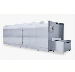 نفق تجميد سريع بتقنية IQF لتجميد الخضروات - Product Image 5