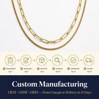 Collier ras du cou double couche en acier inoxydable plaqué or 18 carats avec chaîne serpent et épingle à papier, vente en gros de bijoux