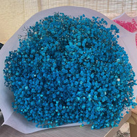 Getrocknete Schleierkrautblüten 550g Bestseller Großhandel Blumen Schleierkraut-Bouquet Hochzeits-Blumendekoration Gypsophila-Blume