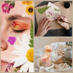 Große Masse echte getrocknete gepresste Blumen bunte Botanicals für DIY Harz Handwerk Nail Art Hochzeit Dekore Lesezeichen - Product Image 5