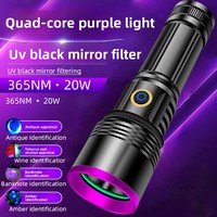 Lampe torche LED rechargeable en alliage d'aluminium à miroir noir, 20W haute puissance, lumière UV 365nm, détection d'argent, authentification, IP20, 100m