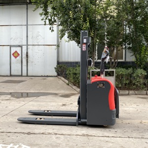 شاحنة كهربائية WANGONG Electrico <span class=keywords><strong>2</strong></span> طن 3 طن شاحنة رفع مع ارتفاع 3 م 4 م 5 م 6 م 7 م - Product Image 1