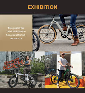 Электрический велосипед с двумя колесами, 250 Вт, 36 В, 20 дюймов, с широкими шинами, двойной батареей, складной, спортивный, для детей и взрослых - Product Image 6