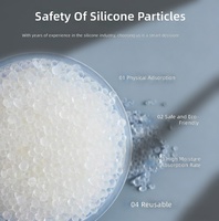 Déshumidificateur intelligent à gel de silice 100g avec fenêtre transparente pour surveillance visuelle domestique