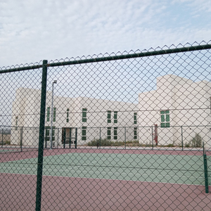 Tùy Chỉnh PVC Tráng Kim Cương Cyclone Dây Hàng Rào Các Nhà Sản Xuất 15.0M Chiều Dài Hàng Đầu Mạ Kẽm Chuỗi Liên Kết Hàng Rào - Product Image 3