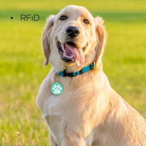 In tùy chỉnh mã <span class=keywords><strong>QR</strong></span> NFC Keychain và URL lập trình <span class=keywords><strong>RFID</strong></span> Dog <span class=keywords><strong>Tag</strong></span> Epoxy NFC Pet ID <span class=keywords><strong>tag</strong></span> - Product Image 6