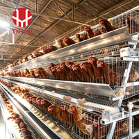 Cage à poules pondeuses automatique de type A à 3 niveaux avec abreuvoir à tétine, système d'évacuation du fumier et collecte des œufs, équipement pour ferme avicole