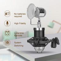 Microphone Filaire Professionnel OEM E800 en Métal avec Absorption des Chocs et Réduction du Bruit pour Studio d'Enregistrement