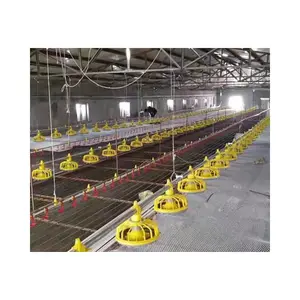 broiler chickens floor feeding system pan raising system poultry equipment