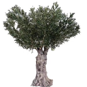 Nouveau Design Artificielle <span class=keywords><strong>En</strong></span> <span class=keywords><strong>Pot</strong></span> Oliviers 245cm <span class=keywords><strong>pour</strong></span> Bureau À Domicile Décor Artificiel Faux Plantes Soie <span class=keywords><strong>Olivier</strong></span> Plante D'intérieur - Product Image 1