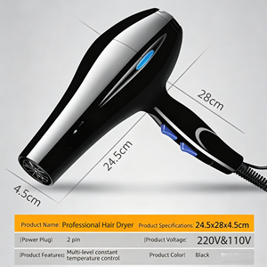 High-Power 800W Electric Hair Dryer DC Motor Household Use Hair Straightener Salon Professional Hair Dryer Set