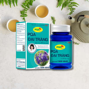 Les capsules de Coptis Chinensis de haute qualité aident à soulager les symptômes des troubles digestifs, adaptées aux adolescents - Product Image 1