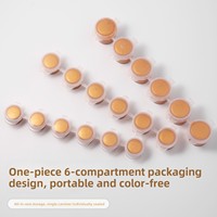 Ensemble de peinture acrylique dorée à 6 compartiments (2 ml chacun) - Couleurs inaltérables pour la peinture à la main sur plâtre/céramique - Outil d'art pour dorure à l'or fin