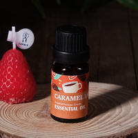 Vente en gros 1 coffret d'huiles essentielles caramel latte huiles essentielles huiles essentielles pomme cannelle diffuseurs d'arbres de Noël