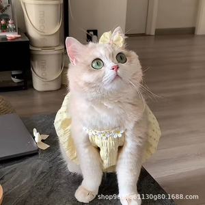 Ropa de Verano para <span class=keywords><strong>Gatos</strong></span> Princesa, Linda Falda de Fibra de Poliéster Estilo Instagram, Anti-Caída de Pelo, para <span class=keywords><strong>Gatos</strong></span> Ragdoll y <span class=keywords><strong>British</strong></span> <span class=keywords><strong>Shorthair</strong></span> - Product Image 3