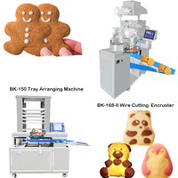 Machine automatique d'enrobage de biscuits et pâtisseries en acier inoxydable, fournie par l'usine de Shanghai, 30-120 pièces/min, pour barres de biscuits aux dattes