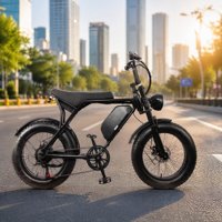 Vélo Électrique Urban Scrambler 750W 48V 15AH avec Suspension Avant, Écran LCD, Design Urbain Noir et Pneus Larges pour les Rues Urbaines