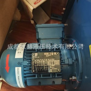 Motor Asíncrono Trifásico Weg 3-AL7-04, Carcasa de 130 mm, 1500 RPM, Montaje a Pie, Totalmente Cerrado - Product Image 1