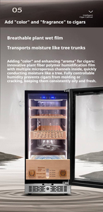 Humidor de Cigarros con Compresor de Gas, Control Táctil Digital, Acero Inoxidable, Color Negro, Mejor Precio al por Mayor - Product Image 6