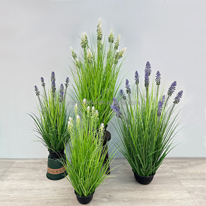 Simular plástico planta verde hierba planta <span class=keywords><strong>de</strong></span> <span class=keywords><strong>caña</strong></span> en maceta plantas largas artificiales Cola <span class=keywords><strong>de</strong></span> Caballo <span class=keywords><strong>caña</strong></span> <span class=keywords><strong>flor</strong></span> <span class=keywords><strong>caña</strong></span> - Product Image 3