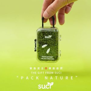 Terrarium micro-paysager en mousse, une pelouse, un bac à plantes vertes pour personne pressée, simple, facile d'entretien, décorations végétales amusantes, cadeaux - Product Image 3