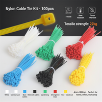 Fabrika Çıkışı Naylon Kablo Bağları 5x250mm 100 Adet Kendinden Kilitlemeli Fermuarlı Bağlar OEM Renkli