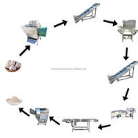 Ligne de production de poudre d'ail entièrement automatique, provenant d'un constructeur de machines leader en Chine