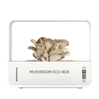 Conteneur de culture de champignons à bas prix pour usage domestique Kit de serre de champignons