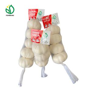 Ail frais comme marque <span class=keywords><strong>TIMA</strong></span> 10 kg/boîte 5.0/5.5cm exportation vers le marché du Sénégal - Product Image 3