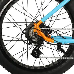 E-Bike Fett Reifen 1000Watt Elektro fahrrad 48v 750w E-Bike Voll federung Rahmen für Strand