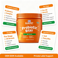 Compléments nutritionnels pour animaux de compagnie Replenza Nutrition avec probiotiques et enzymes pour soutenir la digestion en OEM/ODM