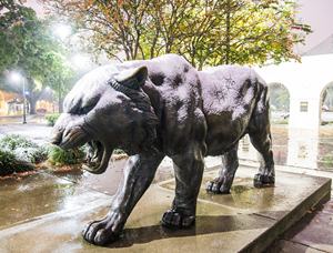 Estatua de tigre de bronce fundido, tamaño real, venta directa de fábrica - Product Image 6