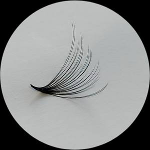 CAMELLIA 14D Tray XL Cils OEM Irritation utilisant pour le pack de beauté dans le plateau ou la boîte Fabriqué au Viet Nam Fabricant - Product Image 2