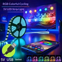 Bande LED USB en gros RGB 5050, contrôlée par application Bluetooth, 16 millions de couleurs, étanche, sans scintillement, découpable, rétroéclairage TV