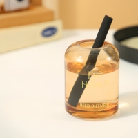Nouveau diffuseur de parfum à bâtonnets en rotin sans flamme en verre de 100 ml pour hôtel, maison, intérieur, désodorisant, rafraîchisseur d'air