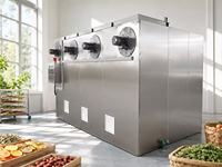 Machine de déshydratation alimentaire automatique pour fruits, légumes, herbes et produits agricoles