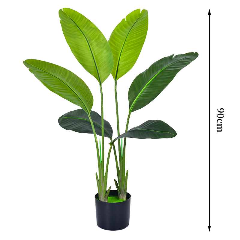 90cm/3ft traveler palm