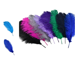 Plumes d'autruche colorées teintées sur mesure en gros pour artisanat, idéales pour fêtes, mariages, décoration intérieure – Promotion à prix abordable - Product Image 1