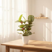 Tanaman Calathea Orbifolia Plastik Berkualitas Tinggi 60cm dengan Tampilan Alami untuk Dekorasi Ulang Tahun